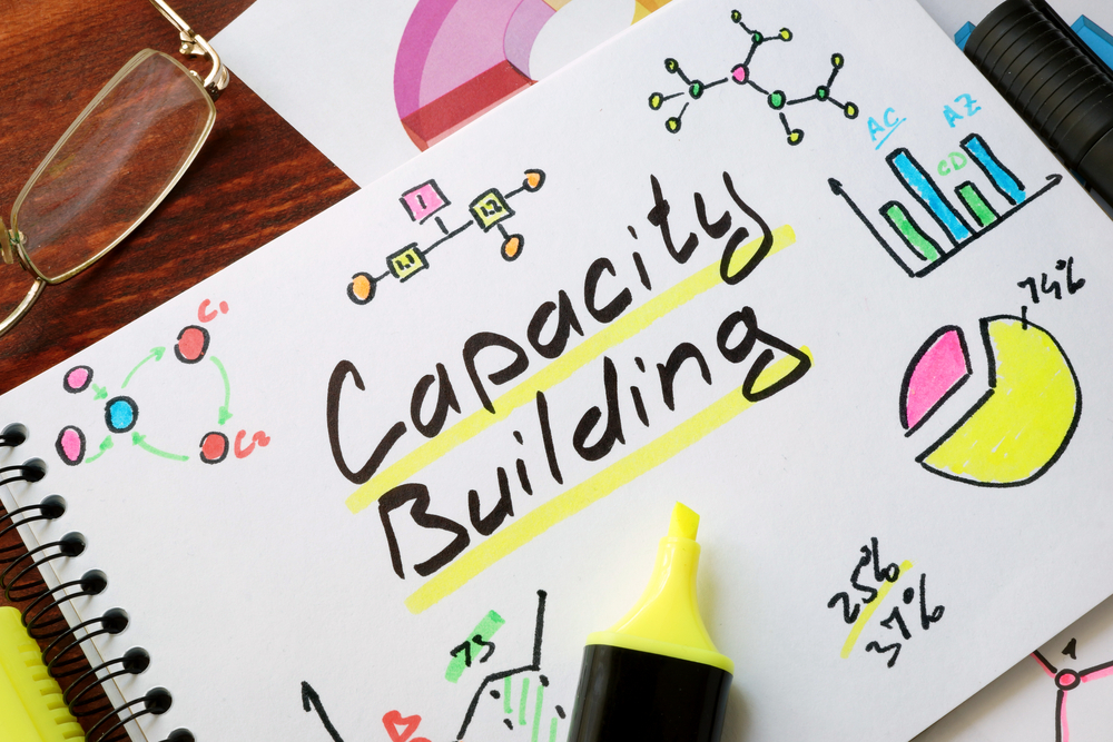 capacity-building